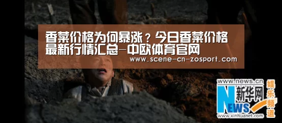 中欧体育平台