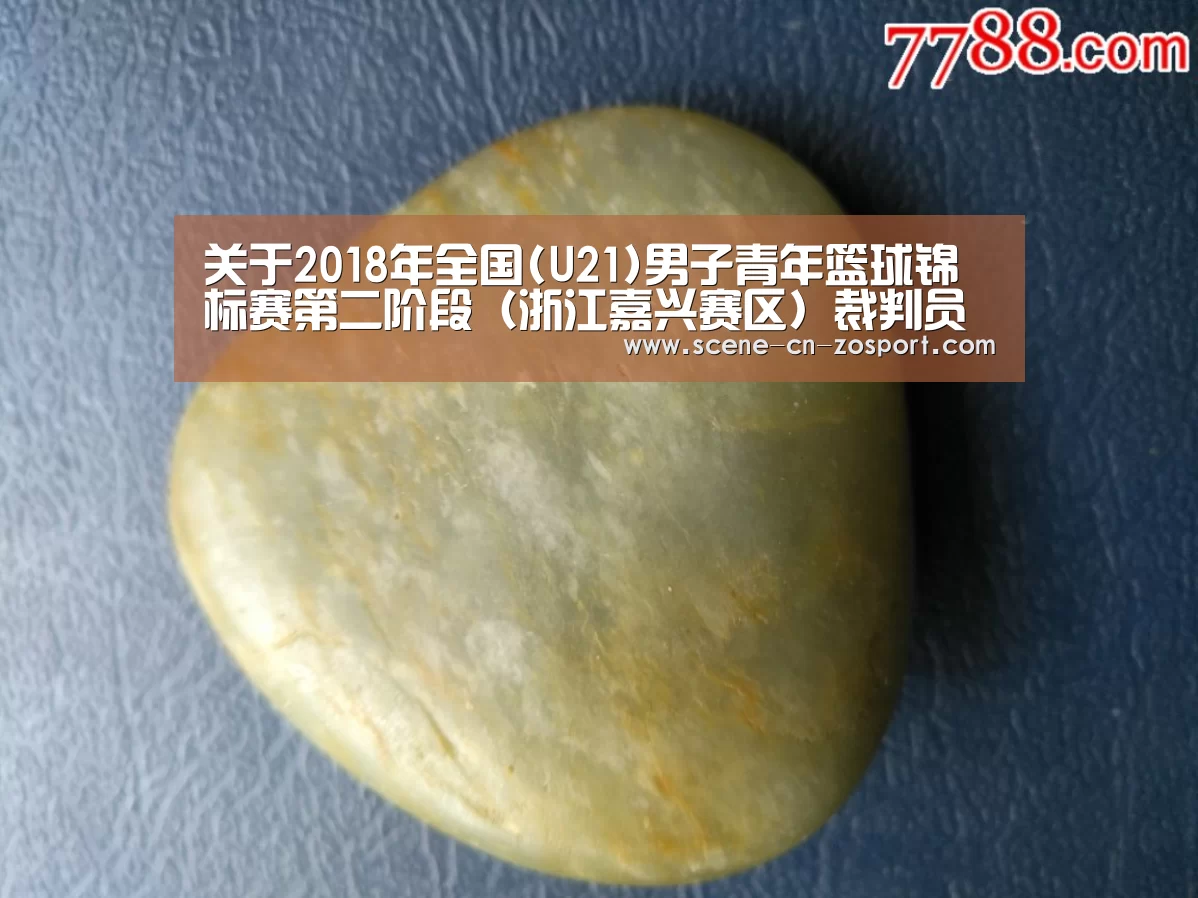 关于2018年全国(U21)男子青年篮球锦标赛第二阶段(浙江嘉兴赛区)裁判员安排的函‘中欧体育平台’(图2) zoty体育