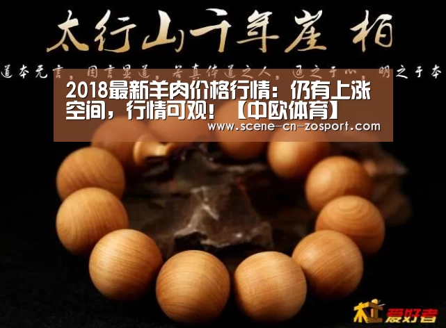 中欧体育平台