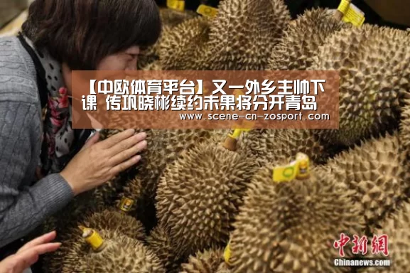 【中欧体育平台】又一外乡主帅下课 传巩晓彬续约未果将分开青岛(图2) zoty体育