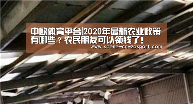 中欧体育