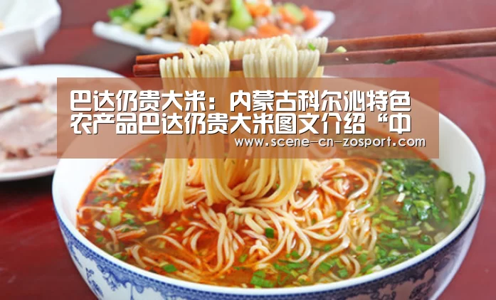 中欧体育平台