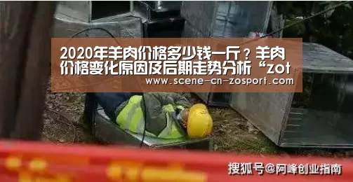 2020年羊肉价格多少钱一斤？羊肉价格变化原因及后期走势分析