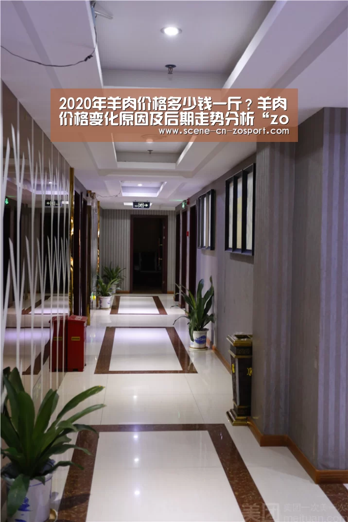 中欧体育平台