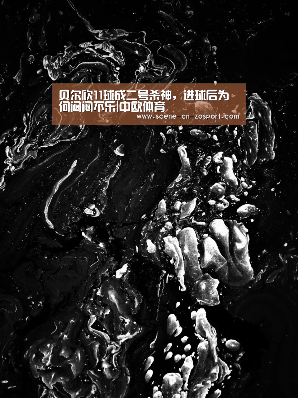 贝尔砍11球成二号杀神,进球后为何闷闷不乐|中欧体育(图2) zoty体育