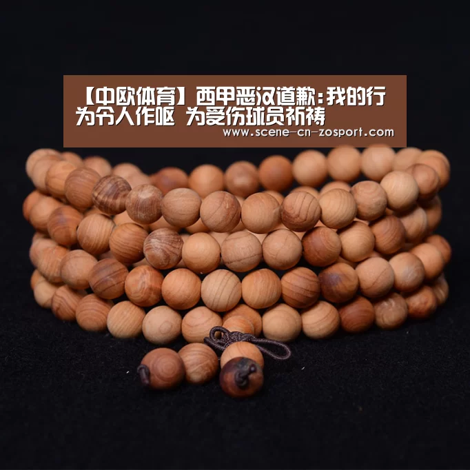 中欧体育