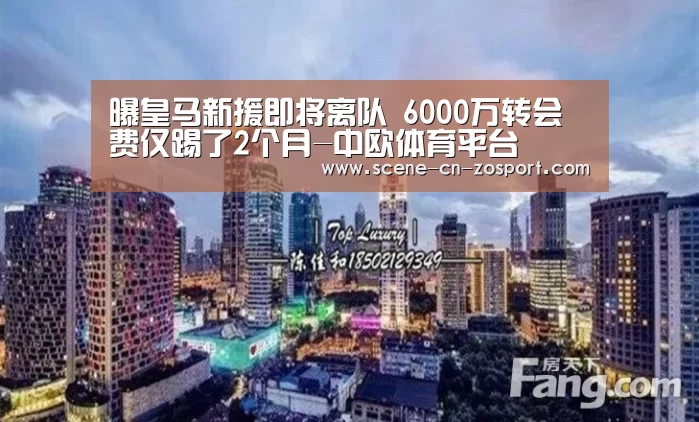 中欧体育