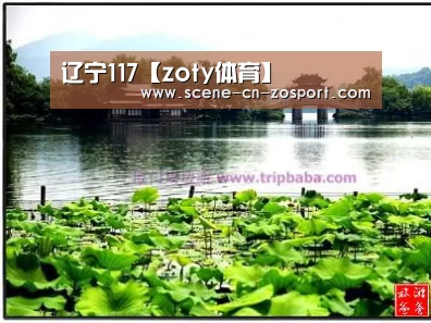 zoty体育